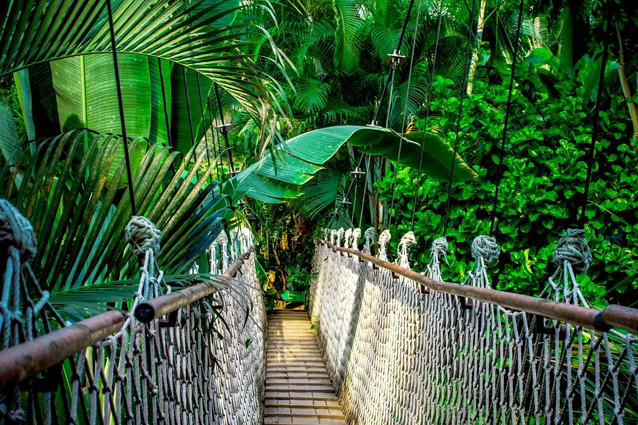 Epoch Raises $4.25 Million to Help SMEs Comply with EUDR Supply Chain Deforestation Regulation